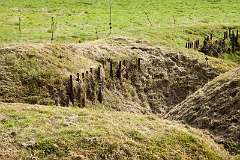 newfoundland-trenches