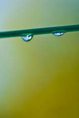 Raindrops on a washing line - titled 'Sad'